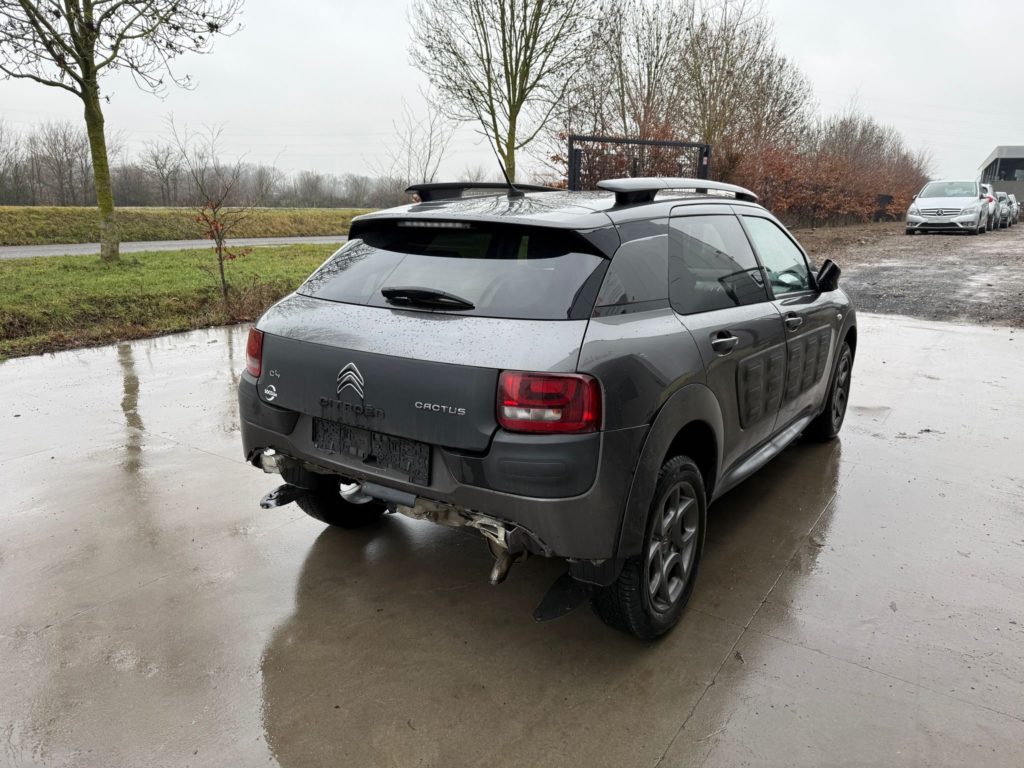 d1e6ab52-51fb-481b-96eb-eae80eab2846